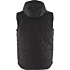 Vinter vest